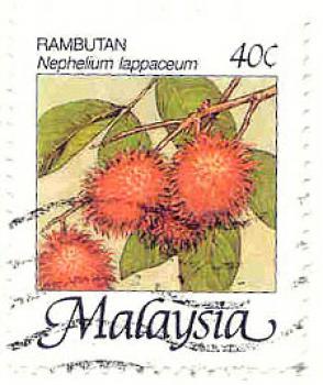 002 Malaysia, Wert 40 C - Rambutan